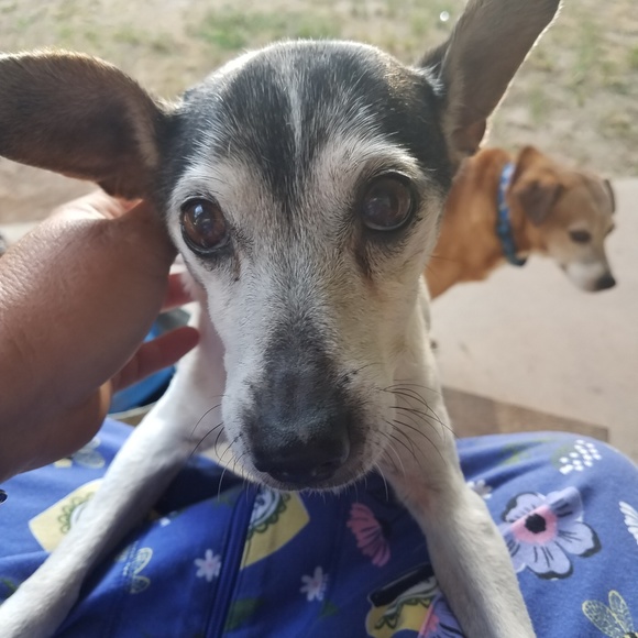 Meet your Posher, Nikki - Picture 2 of 6